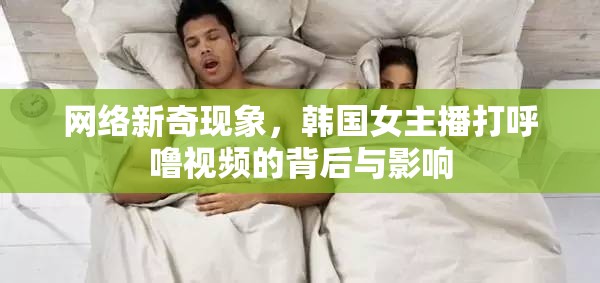 韓國女主播打呼嚕視頻，網(wǎng)絡(luò)現(xiàn)象背后的真相與社會(huì)影響
