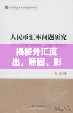 外匯流出深度解析，原因、影響及應(yīng)對之道