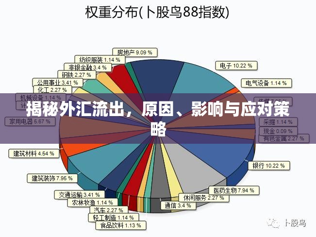 外匯流出深度解析，原因、影響及應(yīng)對之道