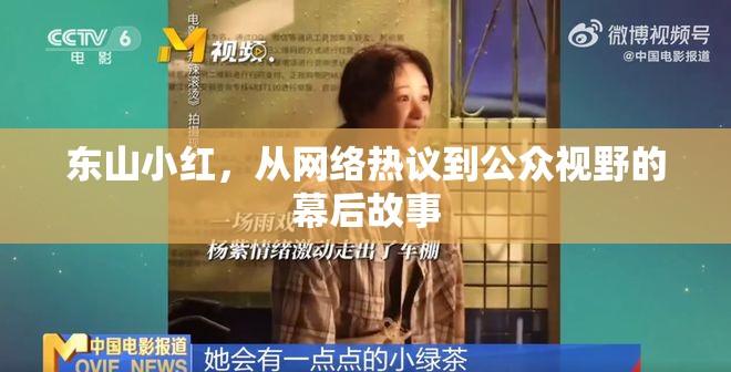東山小紅，網(wǎng)絡(luò)熱議背后的公眾視野揭秘
