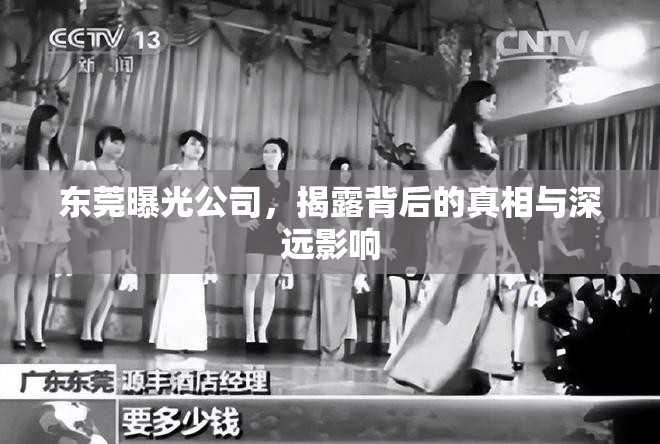 東莞曝光公司，揭露背后的真相與深遠影響