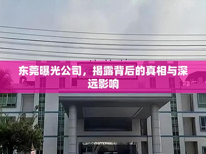 東莞曝光公司，揭露背后的真相與深遠影響