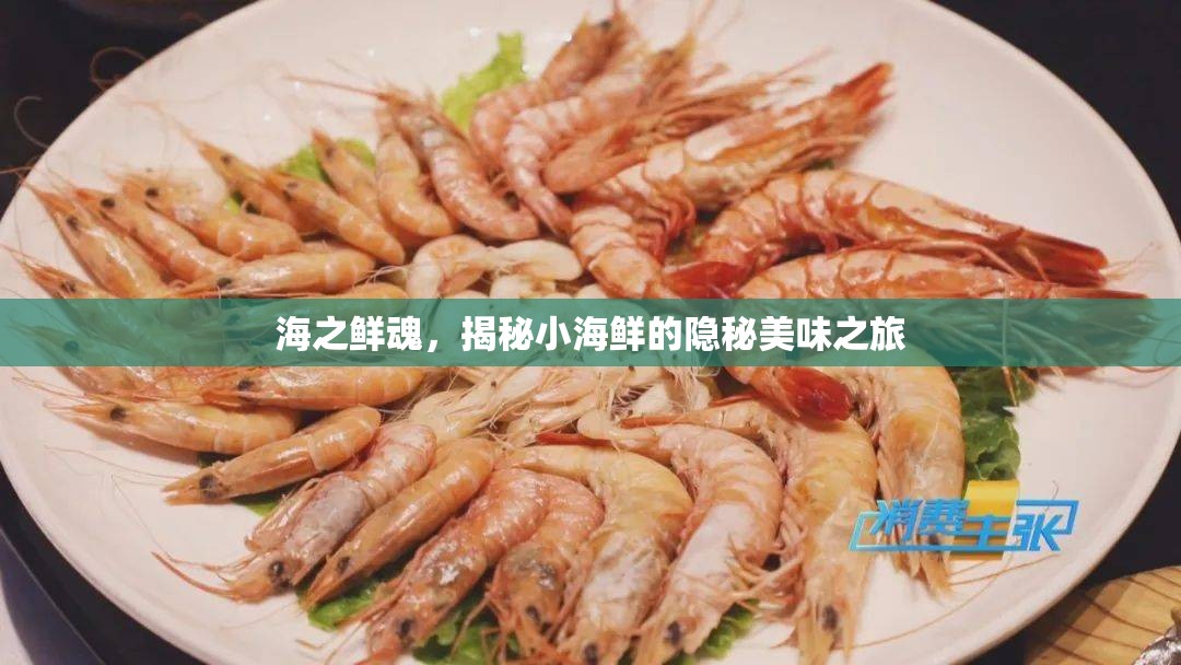 海洋珍饈，小海鮮的隱秘風(fēng)味探索