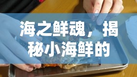 海洋珍饈，小海鮮的隱秘風(fēng)味探索