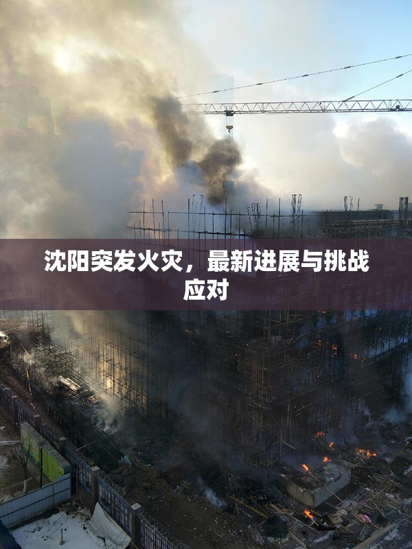 沈陽火災(zāi)緊急應(yīng)對，最新進展與挑戰(zhàn)分析