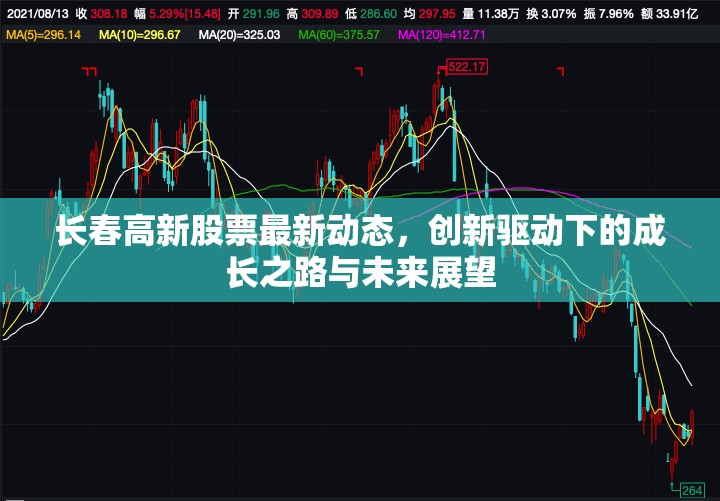 長(zhǎng)春高新股票最新動(dòng)態(tài)，創(chuàng)新驅(qū)動(dòng)下的成長(zhǎng)之路與未來(lái)展望