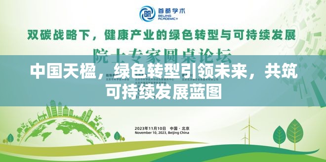 中國天楹，綠色轉(zhuǎn)型引領未來，共筑可持續(xù)發(fā)展藍圖