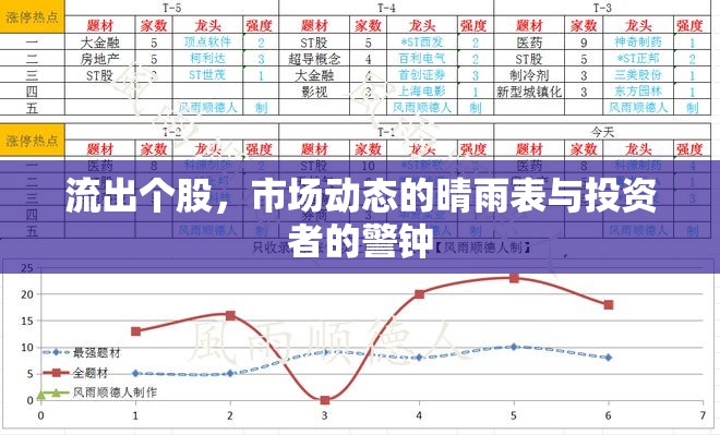 股市晴雨表，個(gè)股資金流向與市場(chǎng)動(dòng)態(tài)分析