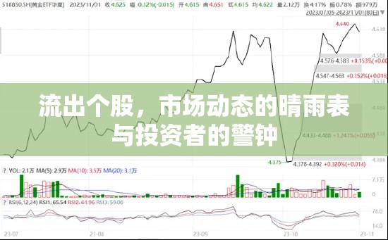 股市晴雨表，個(gè)股資金流向與市場(chǎng)動(dòng)態(tài)分析