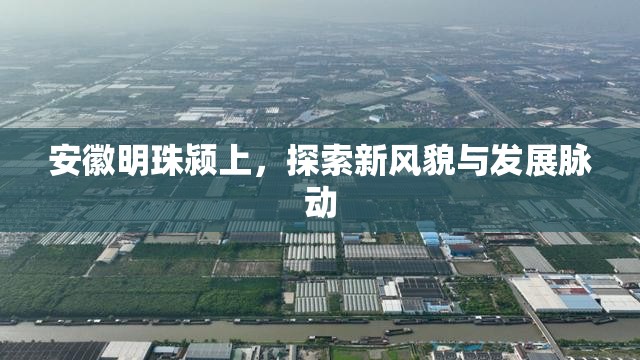 潁上新篇，安徽明珠的風貌探索與發(fā)展脈動