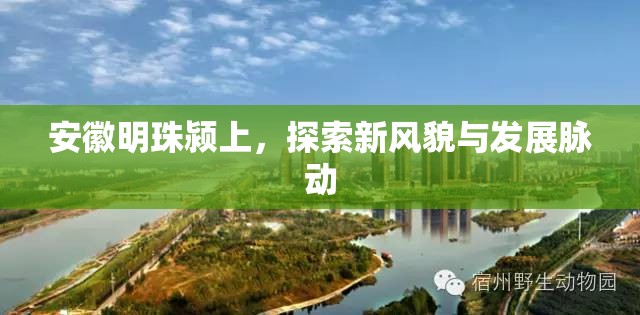 潁上新篇，安徽明珠的風貌探索與發(fā)展脈動