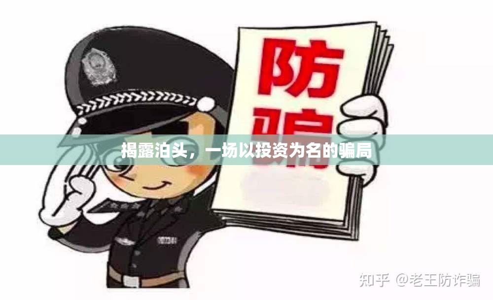 揭秘泊頭，投資幌子下的欺詐游戲