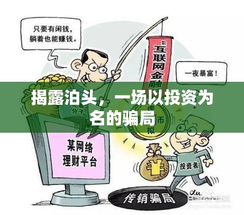 揭秘泊頭，投資幌子下的欺詐游戲