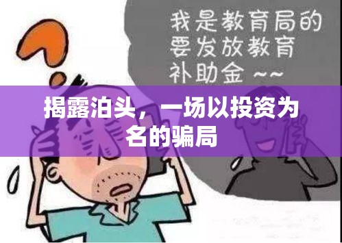 揭秘泊頭，投資幌子下的欺詐游戲