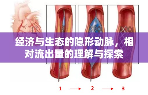 經(jīng)濟(jì)與生態(tài)的隱形動(dòng)脈，相對(duì)流出量的理解與探索