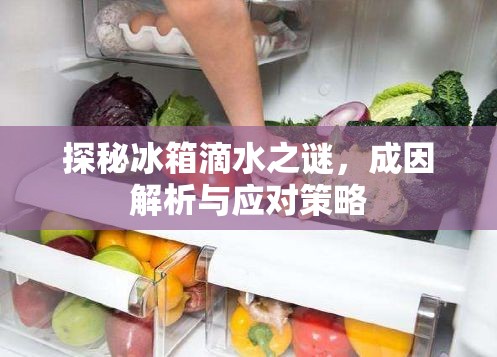 冰箱滴水現(xiàn)象解密，原因分析與解決方案