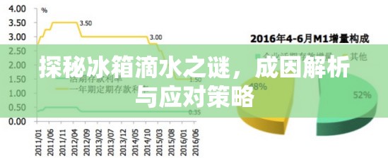 冰箱滴水現(xiàn)象解密，原因分析與解決方案