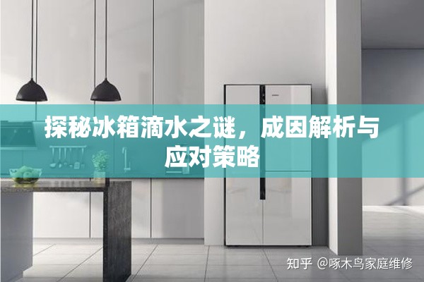 冰箱滴水現(xiàn)象解密，原因分析與解決方案