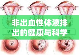非出血性體液排出的健康與科學奧秘