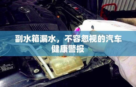 汽車健康警報(bào)，副水箱漏水不容忽視