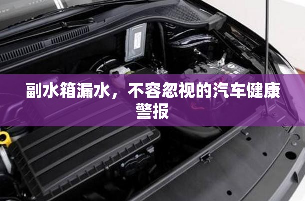 汽車健康警報(bào)，副水箱漏水不容忽視