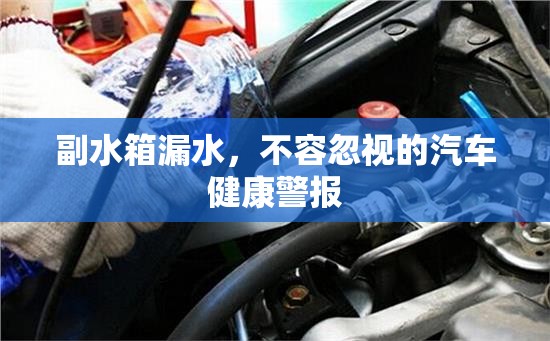 汽車健康警報(bào)，副水箱漏水不容忽視