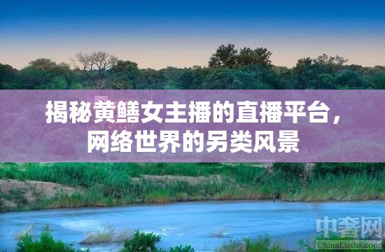 黃鱔女主播直播平臺(tái)揭秘，網(wǎng)絡(luò)世界的另類奇觀