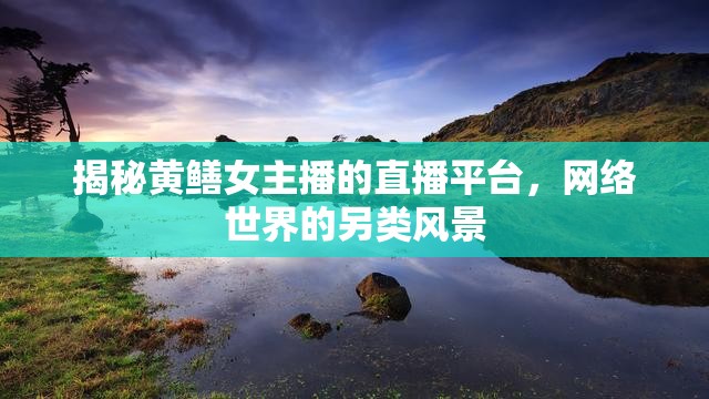 黃鱔女主播直播平臺(tái)揭秘，網(wǎng)絡(luò)世界的另類奇觀