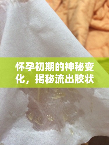 懷孕初期的膠狀物，揭秘身體變化的真相