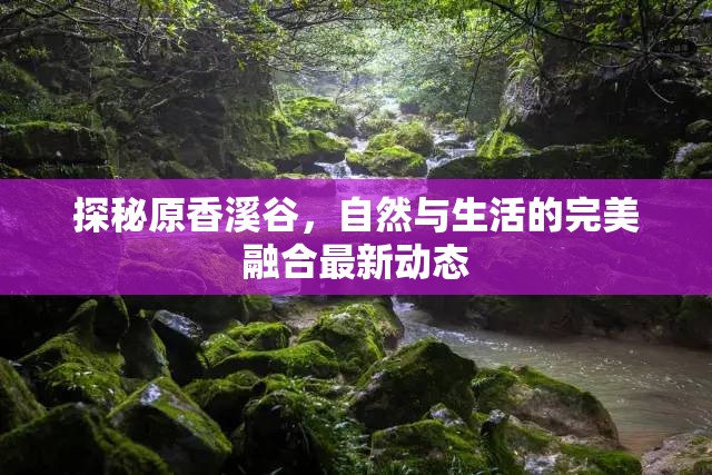 探秘原香溪谷，自然與生活的完美融合最新動態(tài)