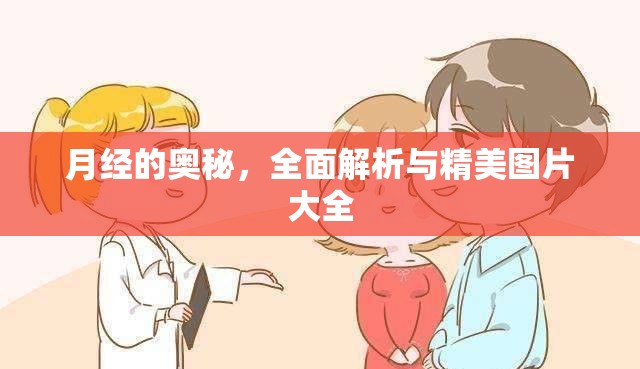 探索月經(jīng)的奧秘，全面解析與視覺(jué)圖鑒