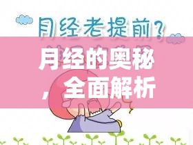 探索月經(jīng)的奧秘，全面解析與視覺(jué)圖鑒