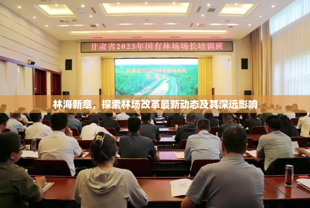 林場變革新篇章，深入剖析改革動(dòng)態(tài)與長遠(yuǎn)影響