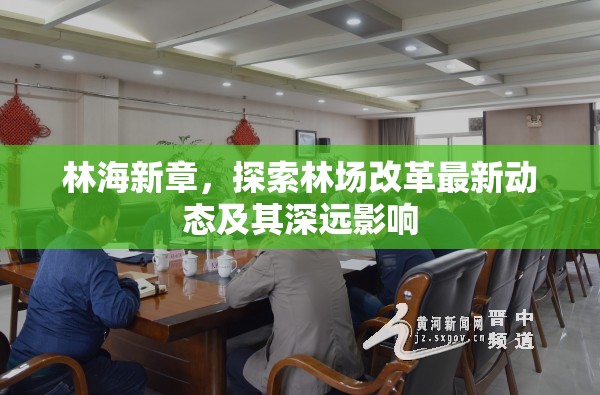 林場變革新篇章，深入剖析改革動(dòng)態(tài)與長遠(yuǎn)影響