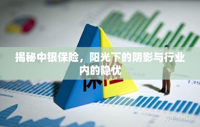 揭秘中銀保險，陽光下的陰影與行業(yè)內(nèi)的隱憂
