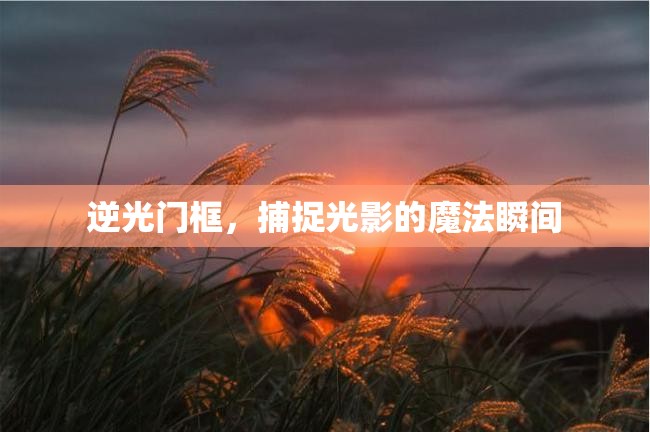 光影魔法，逆光門框下的瞬間捕捉