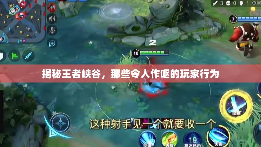 揭秘王者峽谷，那些令人作嘔的玩家行為