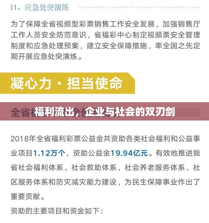 企業(yè)福利政策對(duì)社會(huì)影響的雙重效應(yīng)