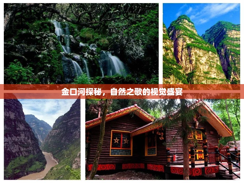 金口河自然奇觀，視覺盛宴之旅