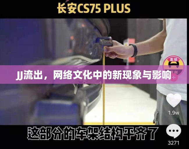 網(wǎng)絡(luò)新浪潮，JJ現(xiàn)象的文化影響與社會反響