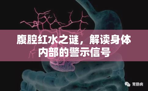腹腔紅水之謎，解讀身體內(nèi)部的警示信號(hào)