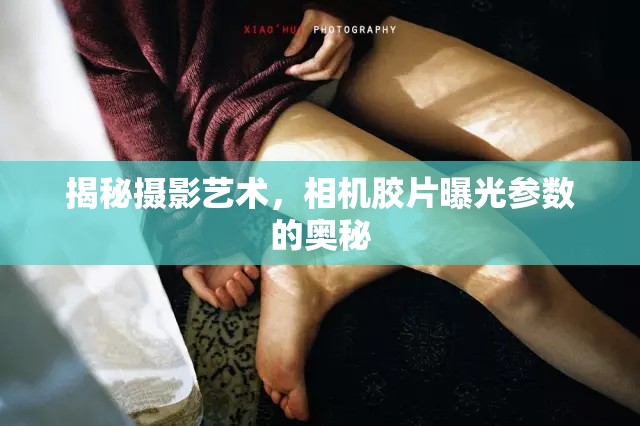 探索攝影精髓，揭秘相機(jī)膠片曝光參數(shù)的藝術(shù)