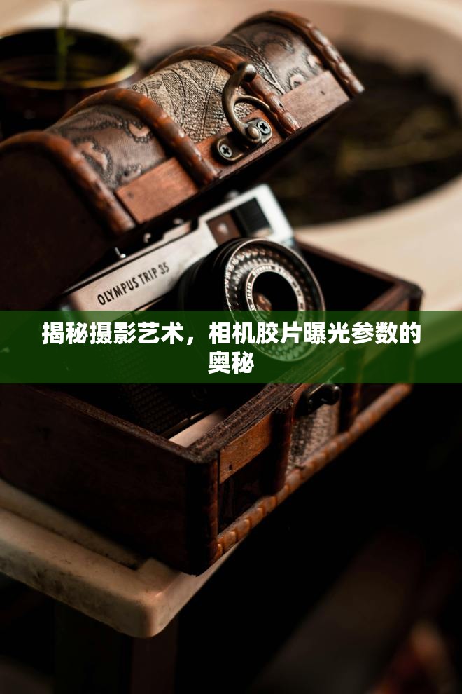探索攝影精髓，揭秘相機(jī)膠片曝光參數(shù)的藝術(shù)
