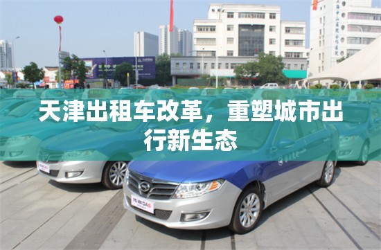 天津出租車改革，構(gòu)建城市出行新生態(tài)