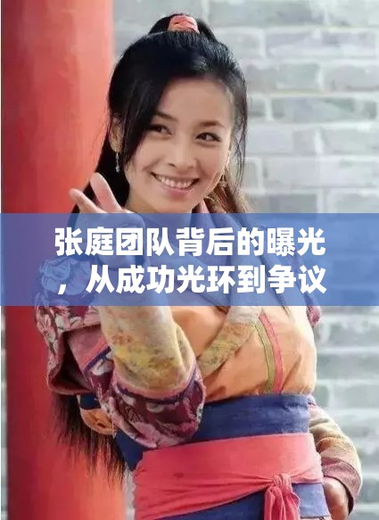 張庭團隊，從輝煌到爭議的深度解析