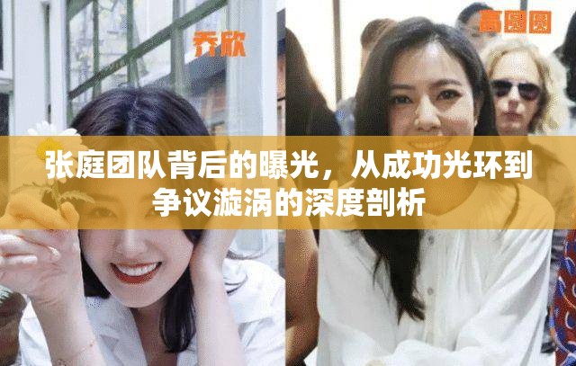 張庭團隊，從輝煌到爭議的深度解析