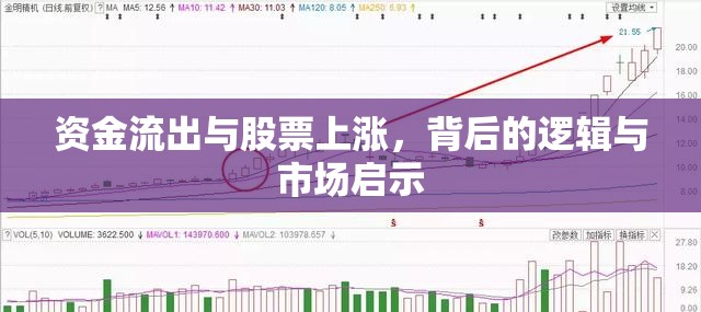 資金動(dòng)態(tài)與股市趨勢(shì)，探究資金流出與股票上漲的邏輯及其市場影響