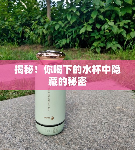 水杯中的隱秘，揭秘日常飲水的不為人知的真相