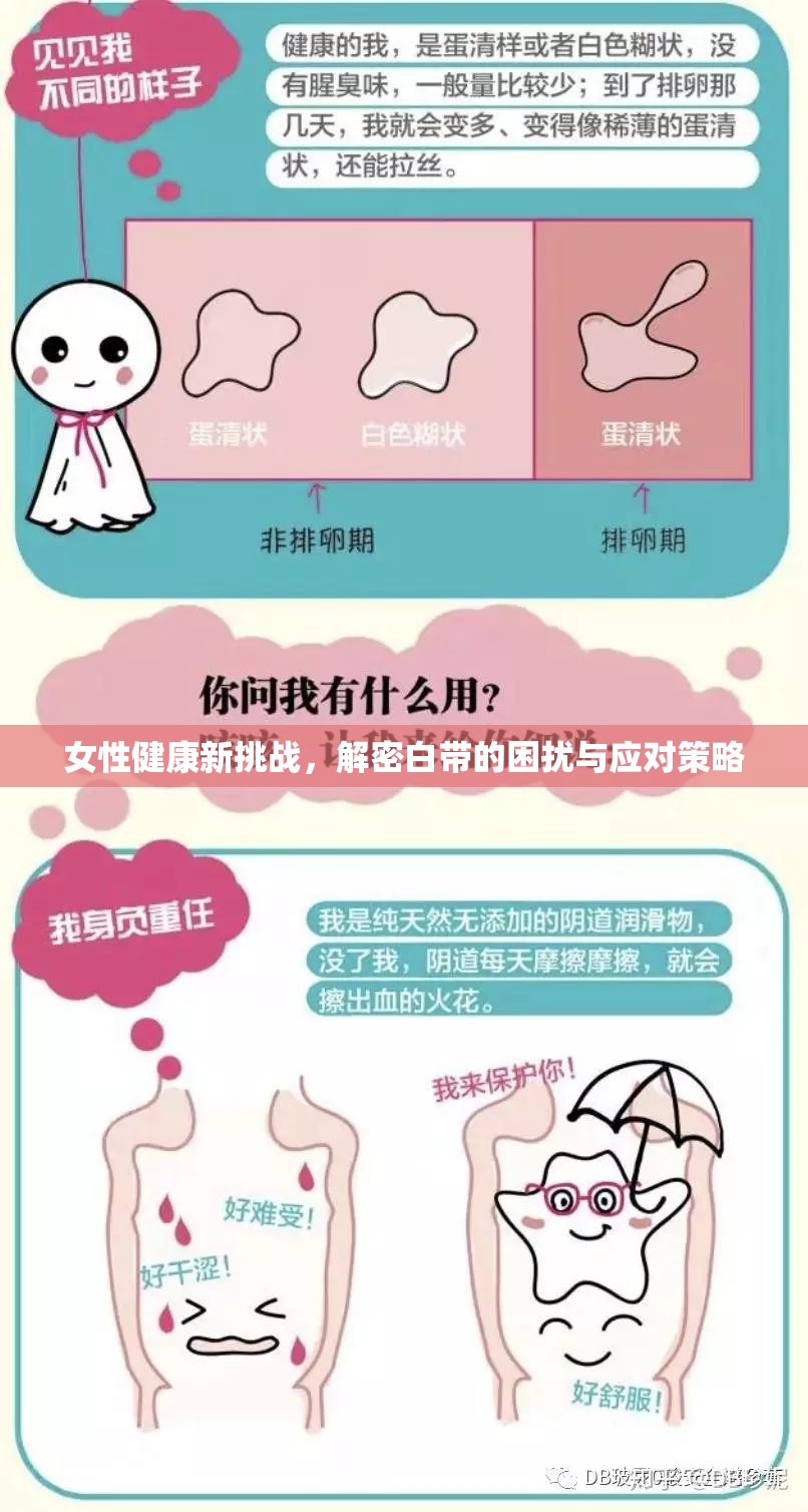 女性健康新挑戰(zhàn)，白帶困擾解密與應(yīng)對策略