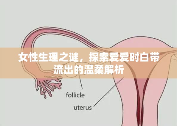 揭秘女性生理，性愛(ài)時(shí)白帶分泌的奧秘